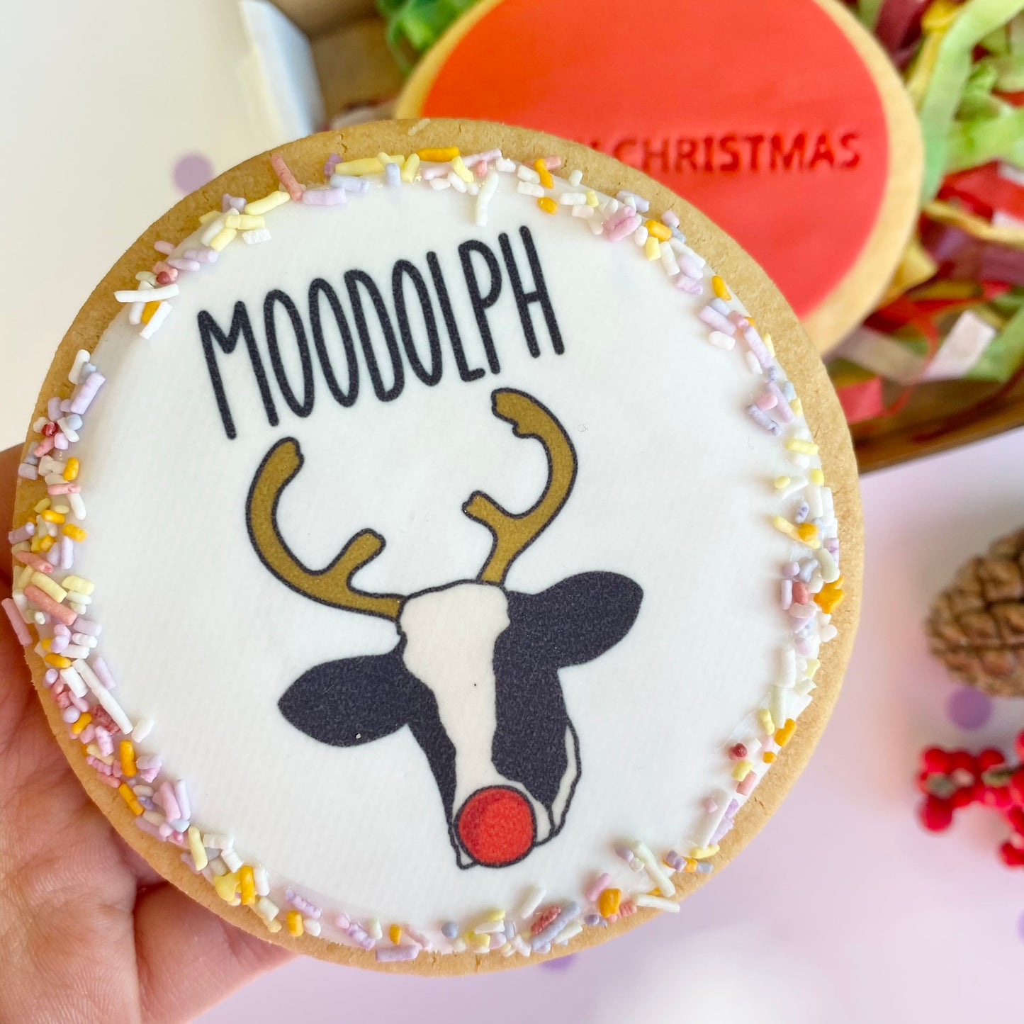 Moodolph Set