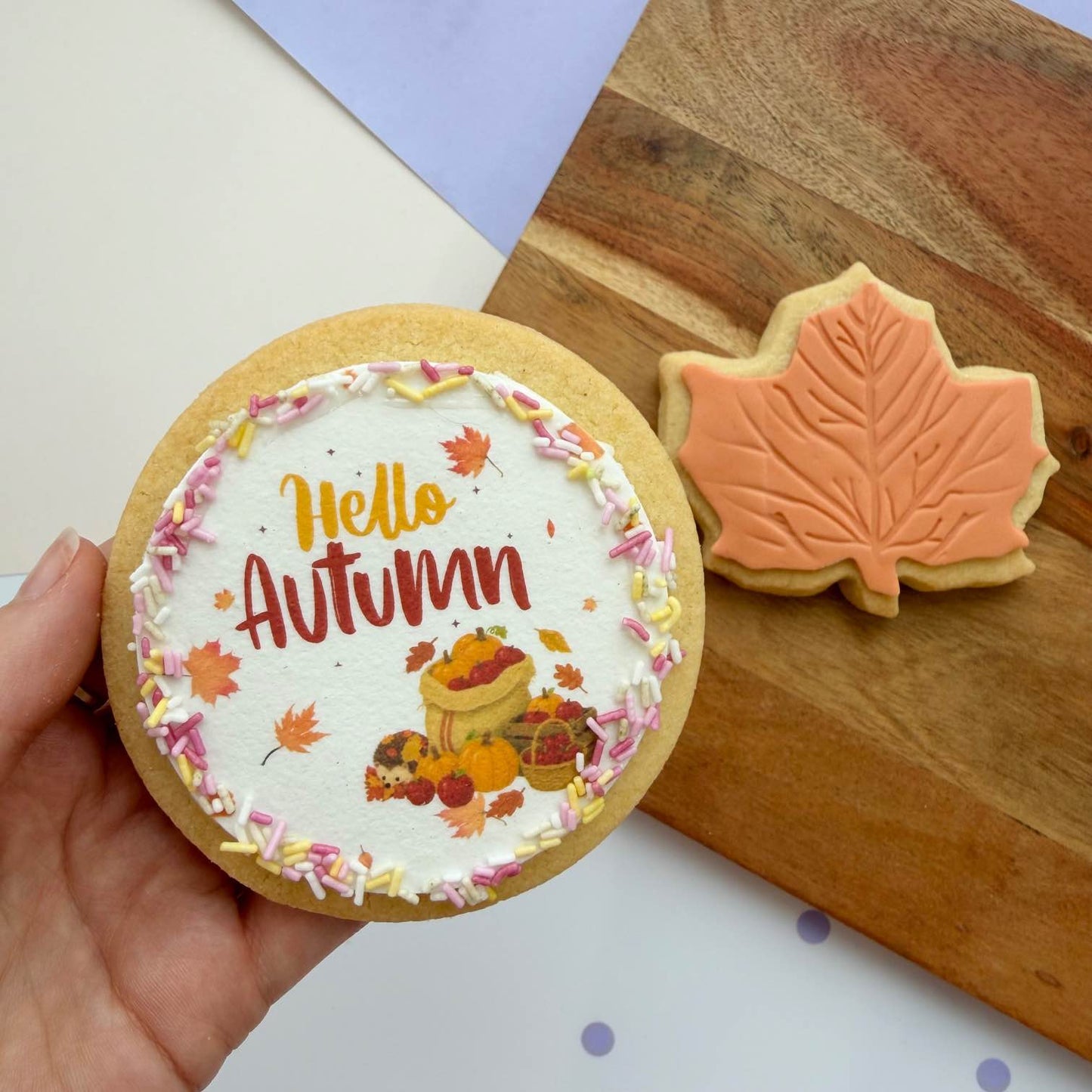 Hello Autumn Set