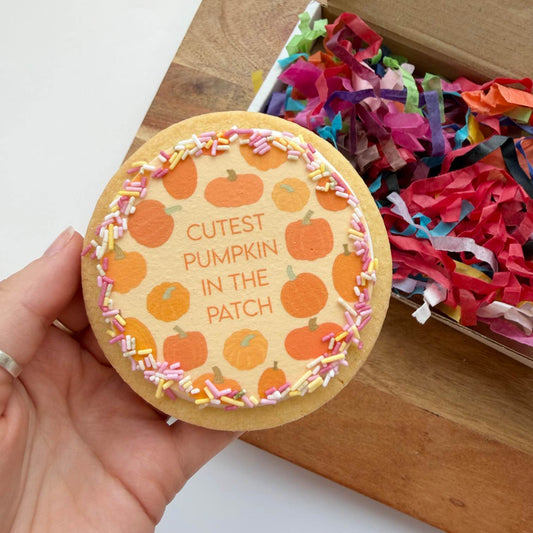 Cutest Pumpkin