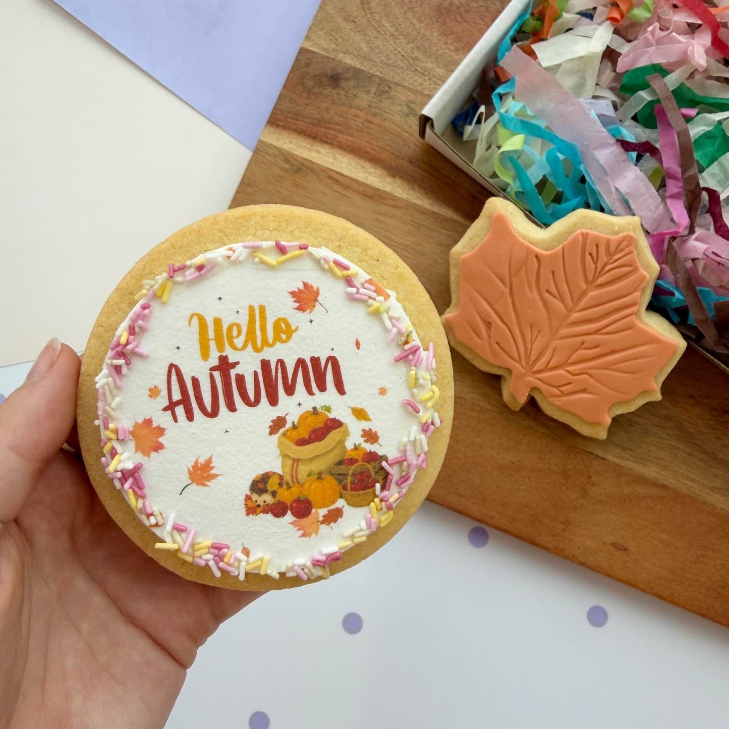 Hello Autumn Set